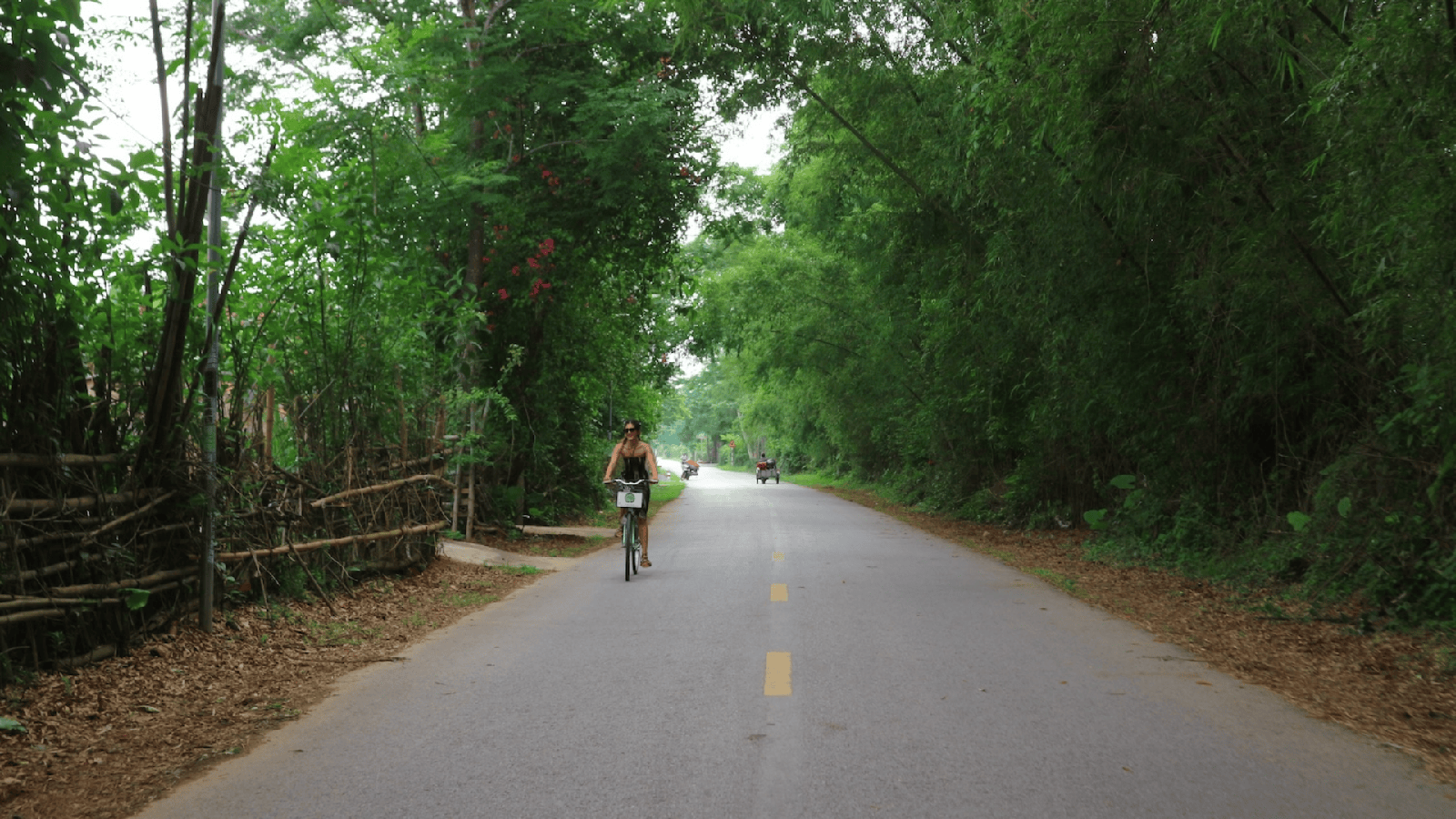 Đạp Xe Ngắm Hoàng Hôn Phong Nha (2)